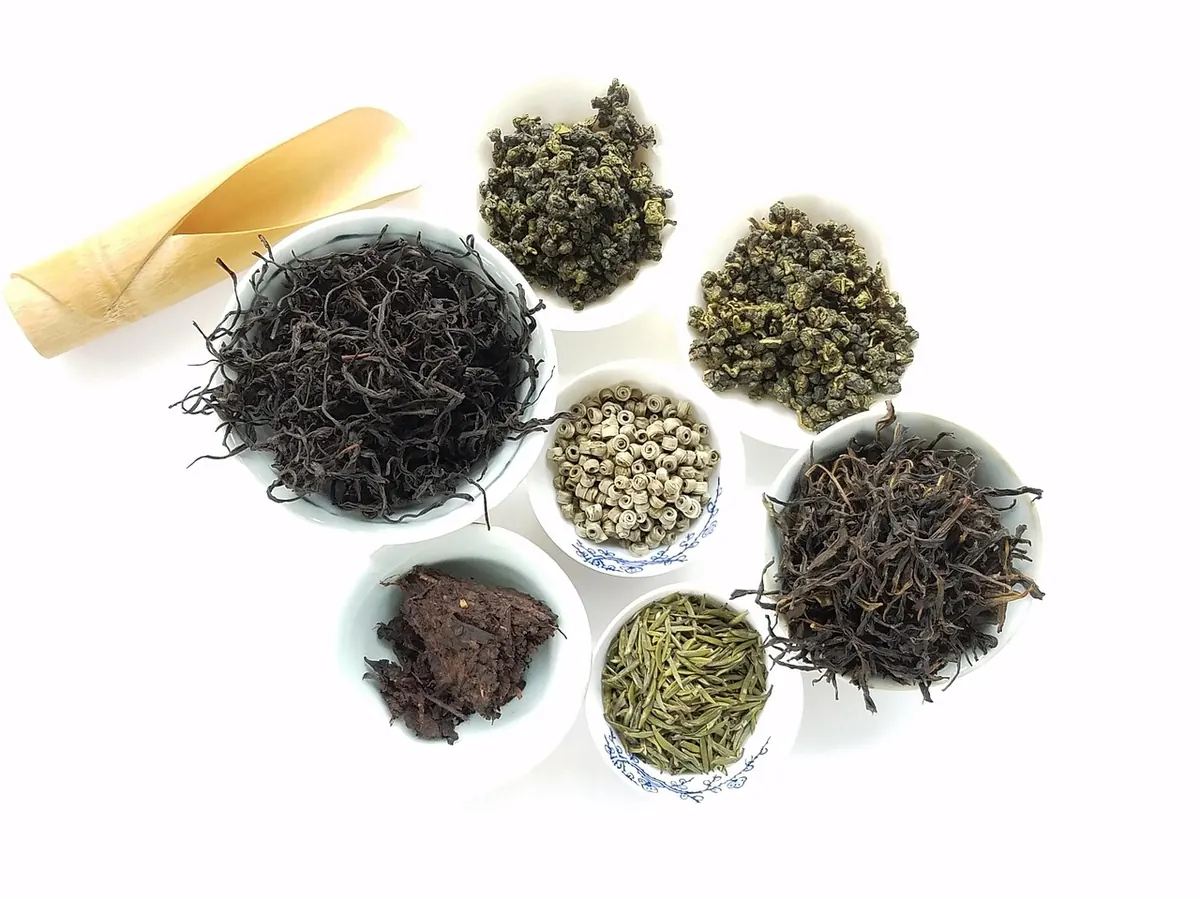 A Beginner's Guide to Oolong Tea: Light, Medium, and Dark Roasts Explained